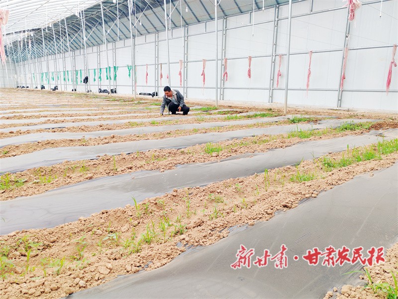 1751017187691828.jpg 1751012341100044042.jpg