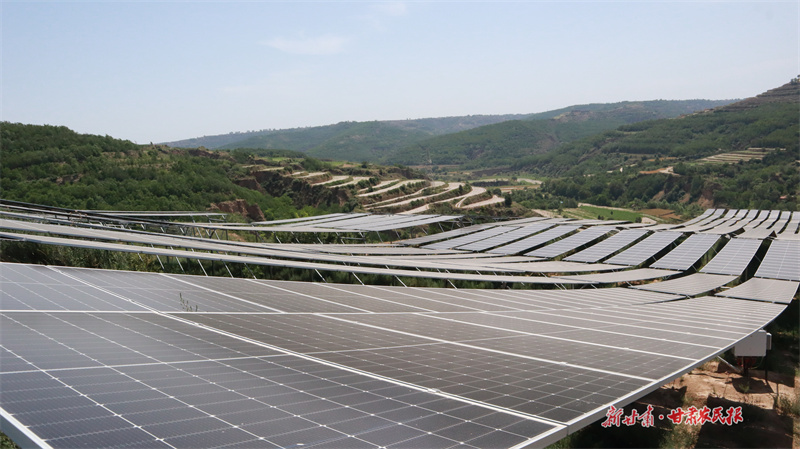 圖為大寨鄉北部山坡光伏板鋪設情況2