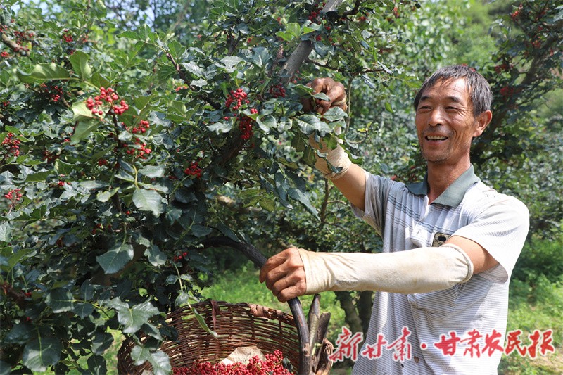 1754396134420440.jpg 1753973845751074559.jpg