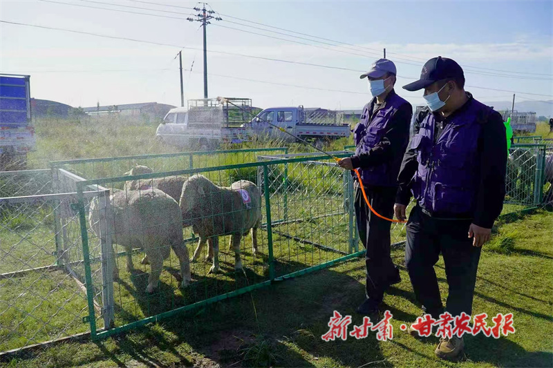 微信圖片_2025-08-25_011738_421.jpg