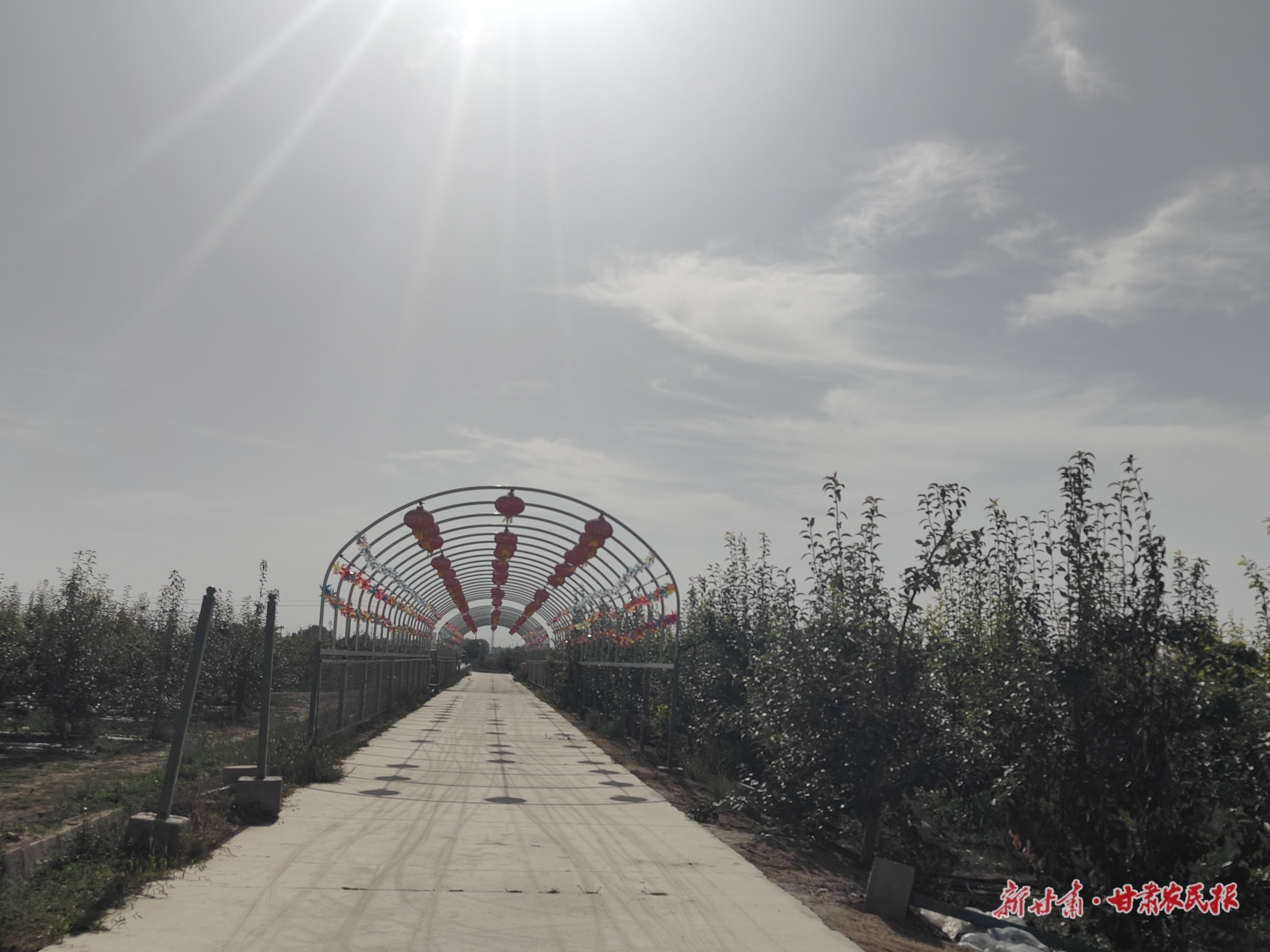 微信圖片_20250919090757_415_71