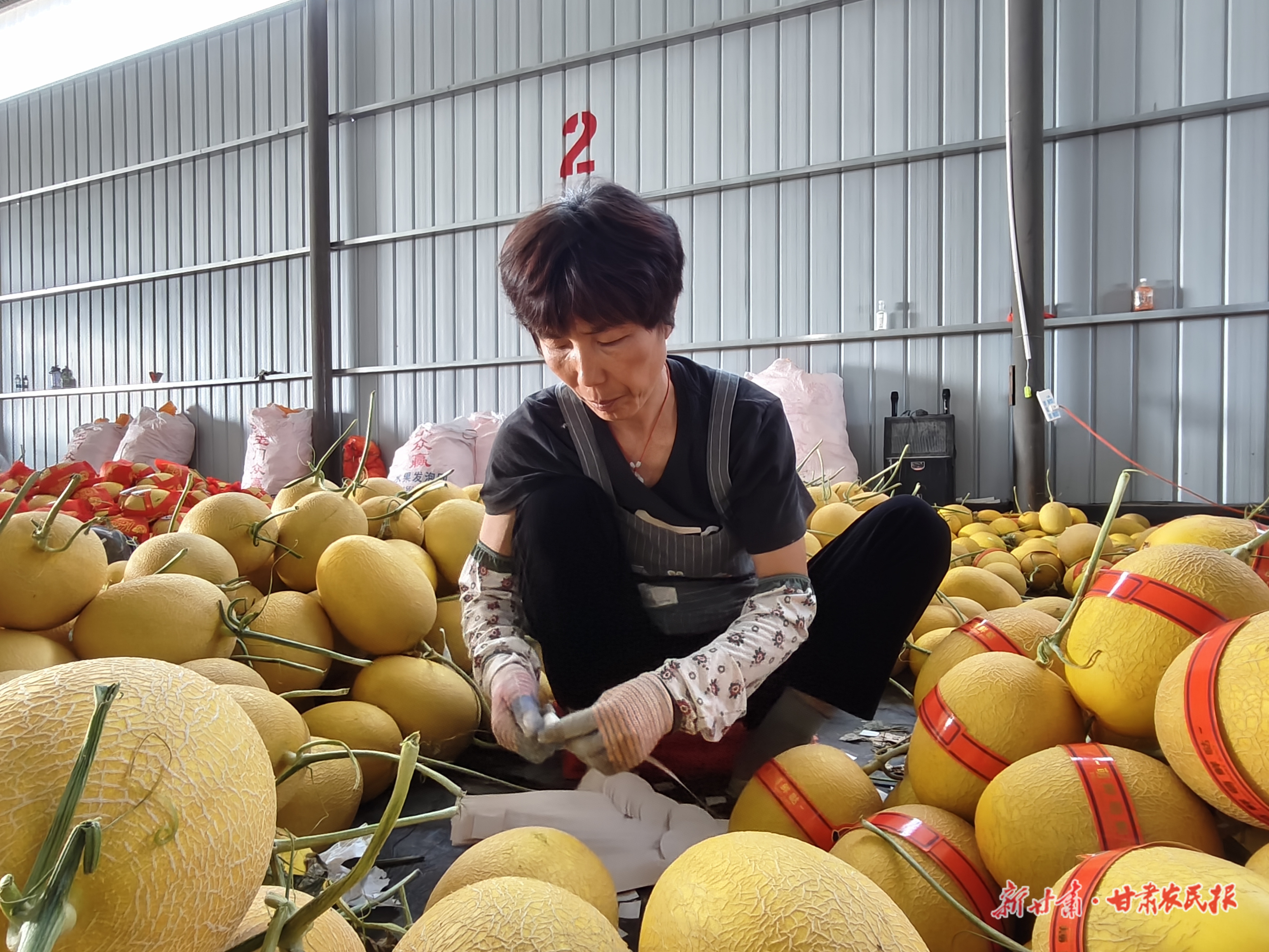 微信圖片_20250919092137_431_71