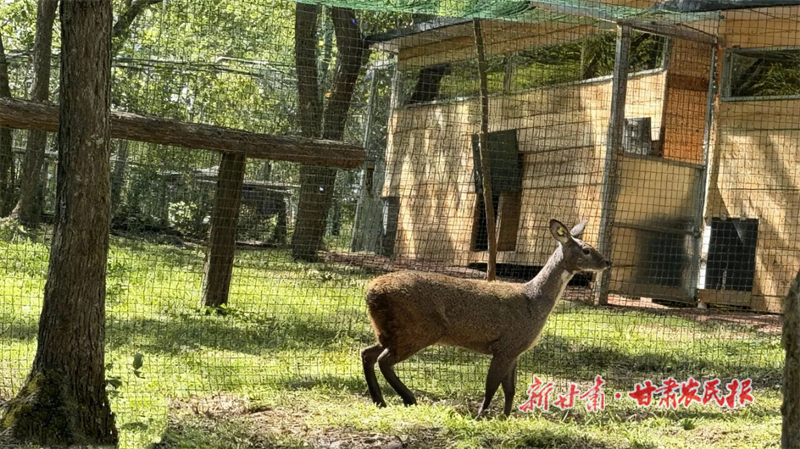 1760423272450279.png 圖片1.png