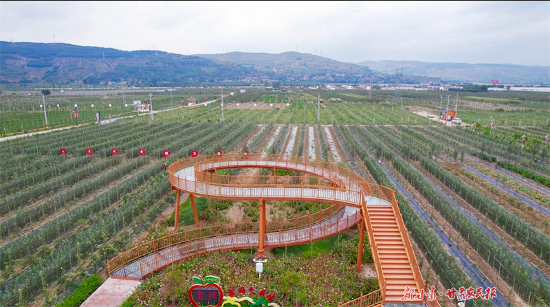 靜寧縣城川鎮(zhèn)智慧果園