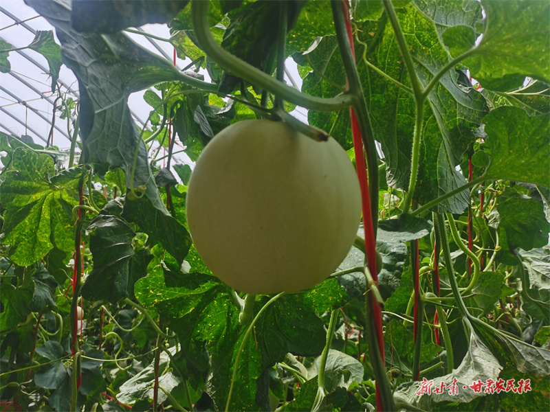 微信圖片_20250716184934