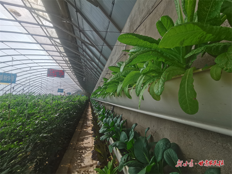 微信圖片_20250716184959