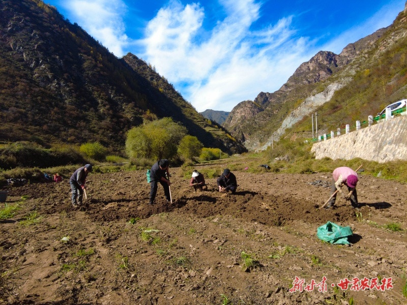 1762741601430202.jpg 微信圖片_20251107162642_112_102.jpg