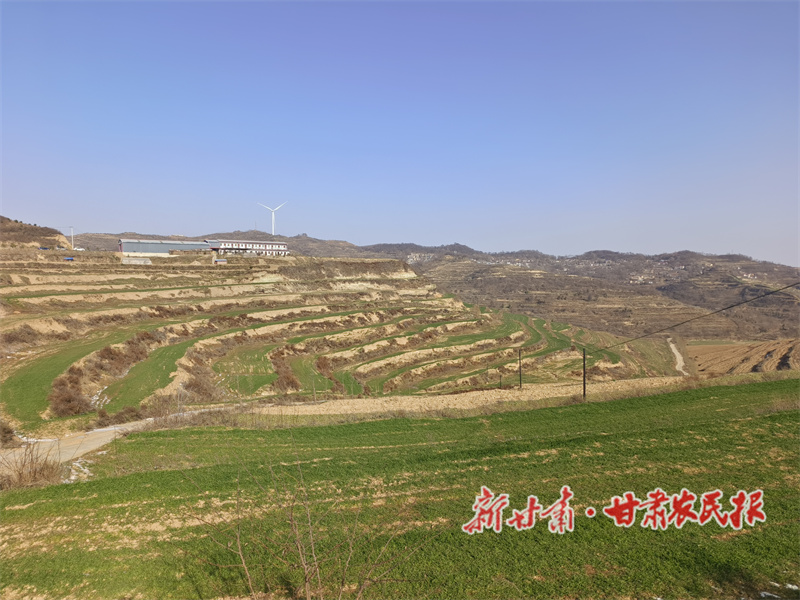 1764752484737208.jpg 1764736630237002225.jpg