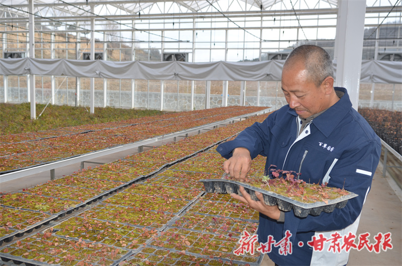 1764754735214242.jpg 1764673116144052307.jpg