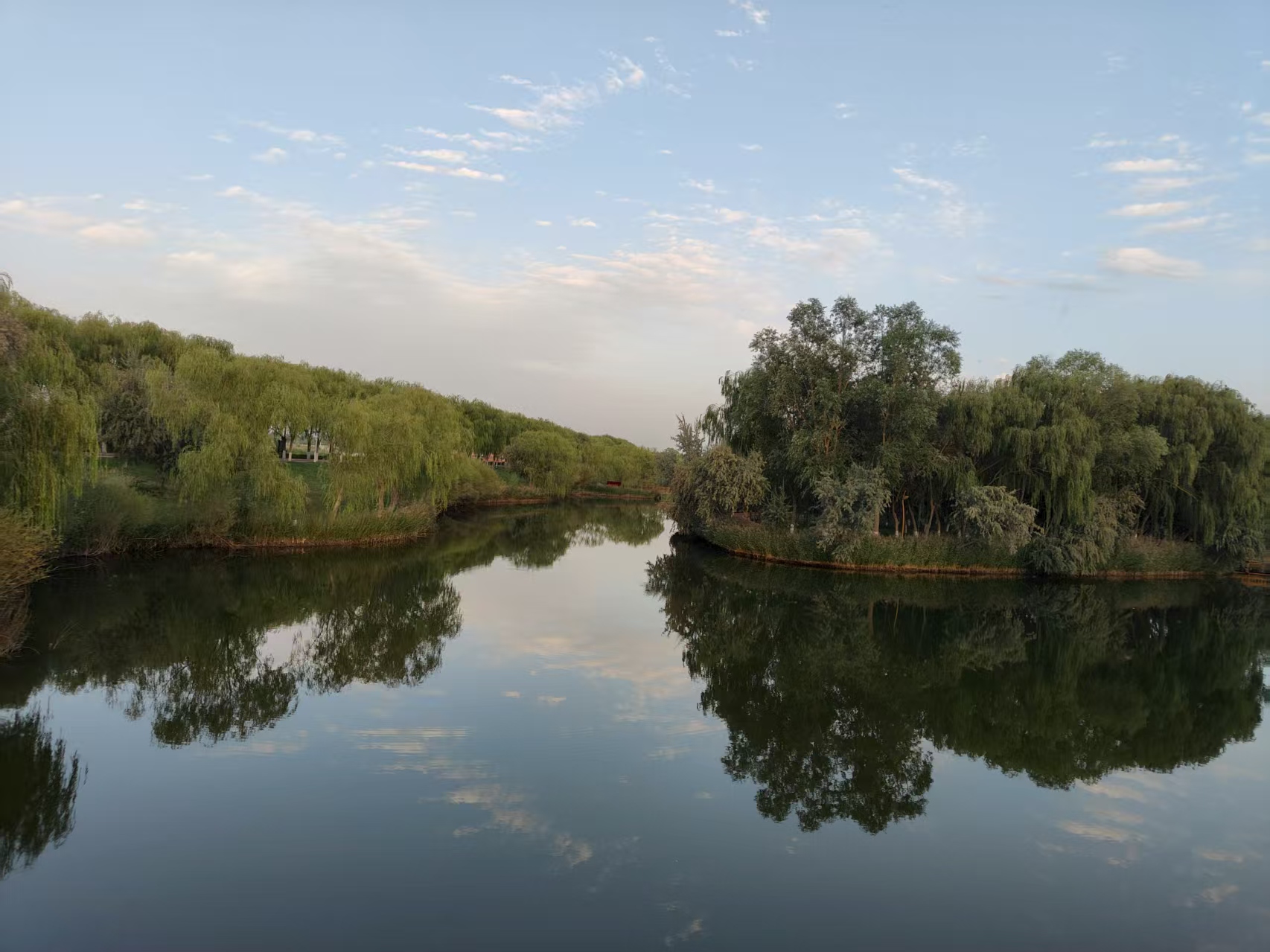 黑河畔的生態詩畫